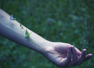 Symptome bei Hashimoto und Schilddrüsenunterfunktion