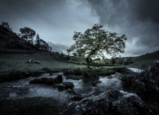 Schilddrüsenunterfunktion und Depressionen