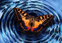 Studie über NDT versus T4 only