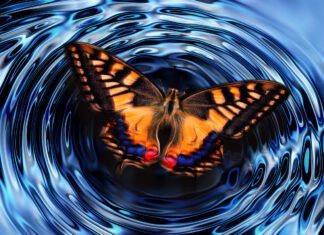 Studie über NDT versus T4 only