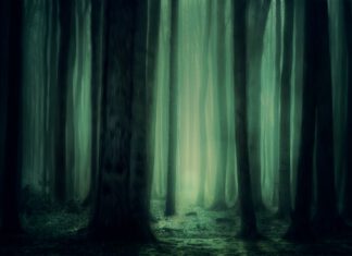 Studie: L-Thyroxin bei bipolaren Depressionen