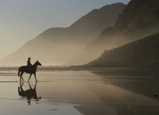 Sind Schilddrüsenhormone von Tieren gefährlich für Menschen?