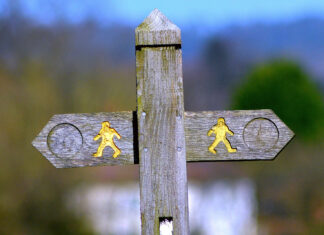 Studie: Schilddrüsentests im Blut sind unzuverlässig