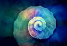 Keine Angst vor Borreliose – Mein Weg aus der Borreliose