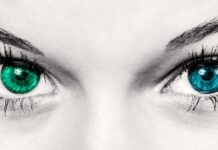 EMDR-Coaching: Schienen (5bN) auflösen mit professionellem EMDR